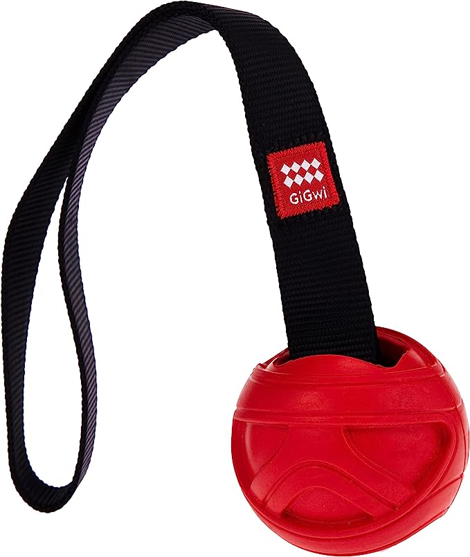 Gigwi Go fetch Slinger Red Ball Dog Toy