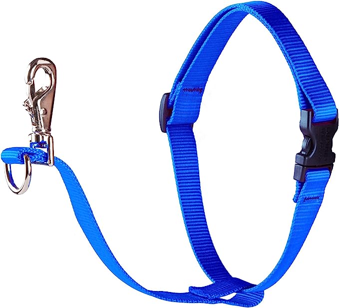 LupinePet No Pull Harness for Dogs 26-38" Blue 1inch