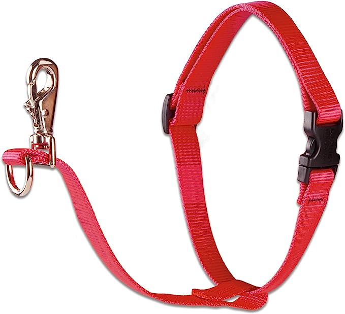 LupinePet No Pull Harness 26-38" Red 1inch