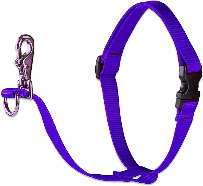 LupinePet No Pull Harness for Dogs 26-38" Purple 1inch