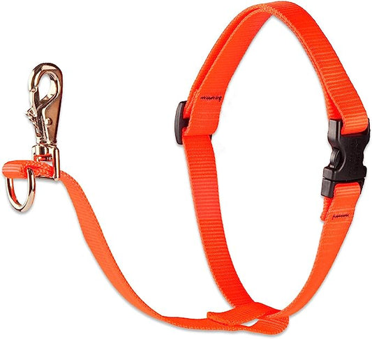 LupinePet No Pull Harness 26-38" Orange 1inch