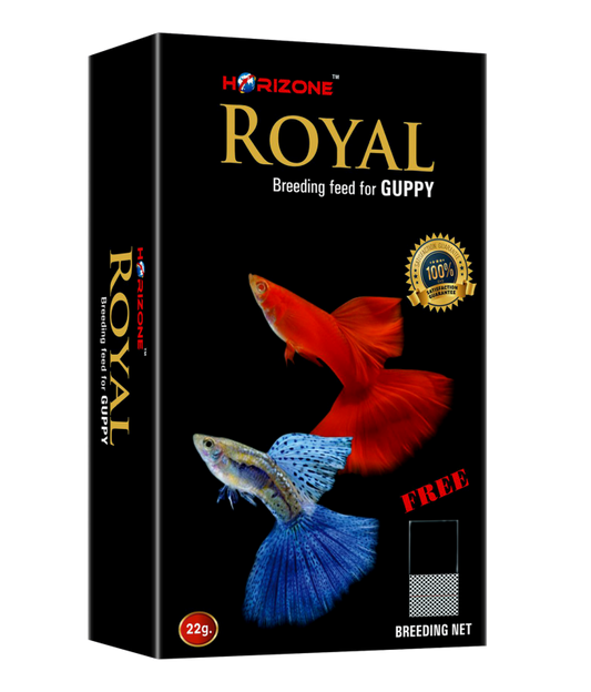 Horizone Royal Guppy Food 22gm