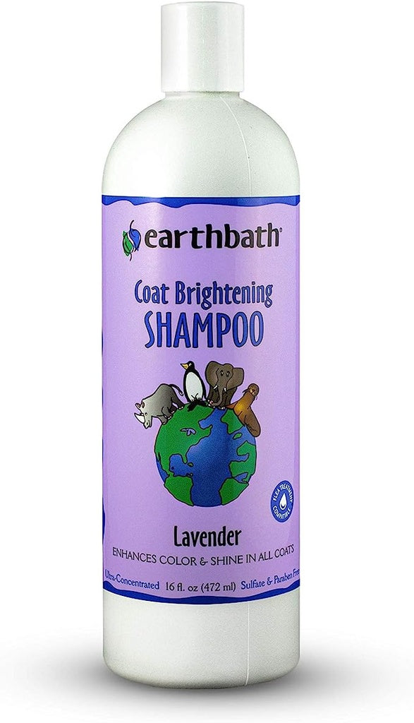 Earthbath Coat Brightening Shampoo Lavender Scent 16oz