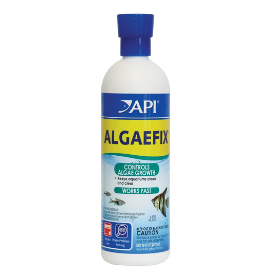 API Algaefix 16oz / 473ml منع أو علاج الطحالب في أحواض السمك المائية