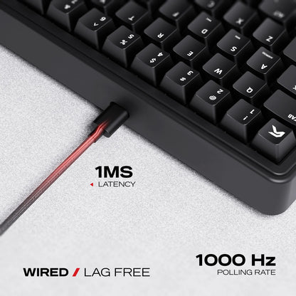 Cybeart Akula 65 Lite - Compact 65% Wired RGB Gaming Keyboard - Black