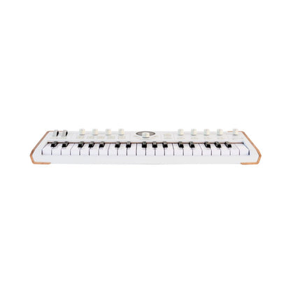 Arturia AstroLab 37 Avant-Garde Stage Keyboard with Analog Lab Pro