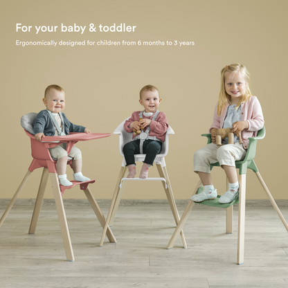 Stokke Clikk High Chair