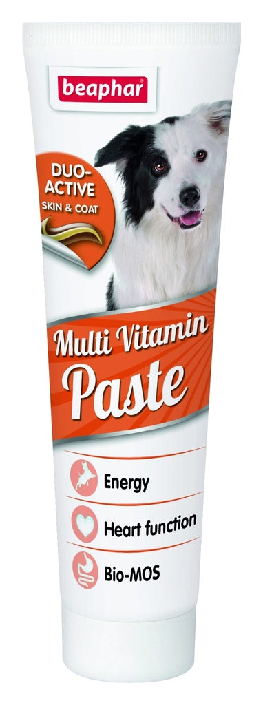 Beaphar Duo Active Paste Multivitamin for Dog 100gm