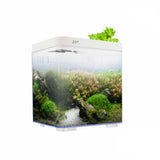 KW Zone Dophin Mini Betta Tank Kit With Temperature Display 7L