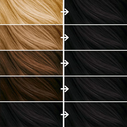 Bleach London Glossy Black Permanent Kit
