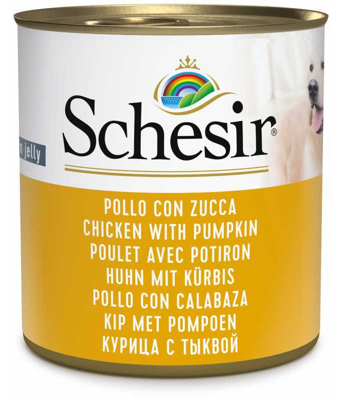 Schesir Dog Wet Food Chicken With Pumpkin Weight 285gm