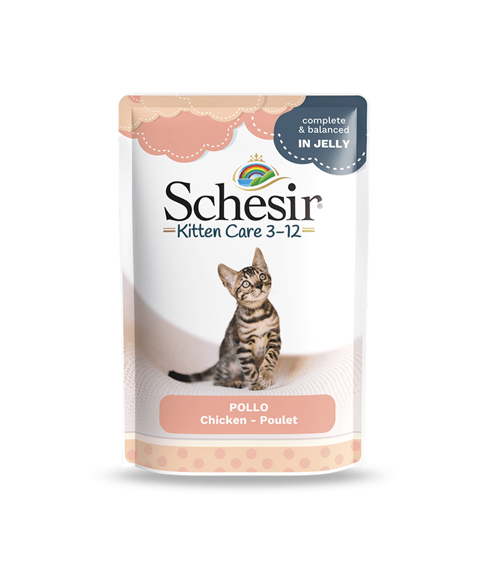 Schesir Kitten In Jelly Chicken Pouch 85gm