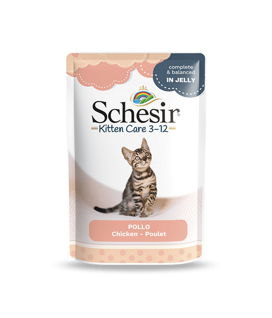 Schesir Kitten In Jelly Chicken Pouch 85gm