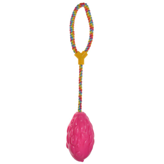 Chomper Bomberz With Rope Dog Toy Pink