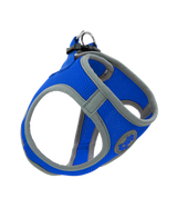 Doco DCA306XS Athletica Quick Fit Reflective Harness, X-Large, Blue