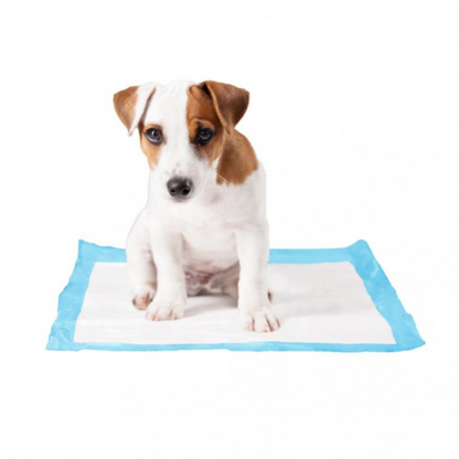 Duvo Pet Pad تدريب الكلاب المتوسطة