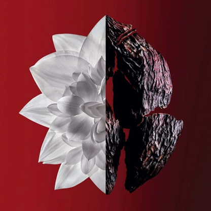 Givenchy L'Interdit Rouge Ultime Eau de Parfum