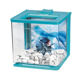 Fluval Marina Betta Kit Blue 2.5L