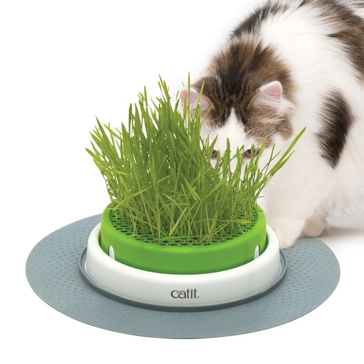 Hagen Catit Senses 2.0 Grass Planter