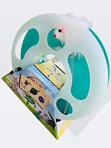 Pet Homes Happy Circle Cat Toy,With Ball Track And Crazy Spring-Mouse, Green