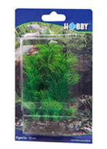 Hobby Artificial Plant - Egeria 13 cm