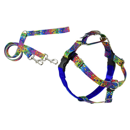 2 Hounds Design Rainbow Freedom No Pull Dog Harness and Leash Nylon, Swiss Velvet & SS