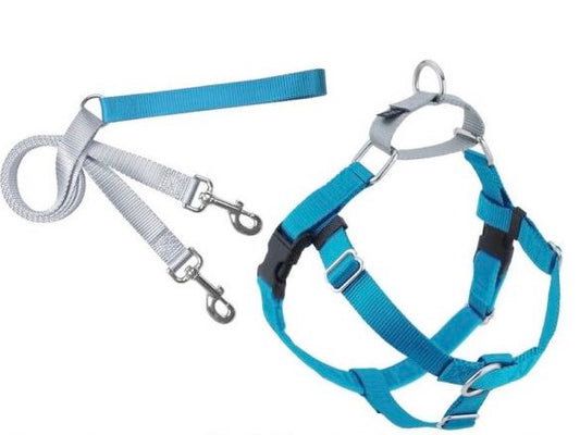 2 Hounds Design Freedom No Pull Dog Harness and Leash Turquoise Large