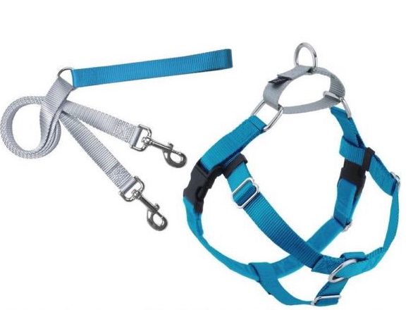 2 Hounds Design Freedom No Pull Dog Harness and Leash Turquoise Large 1inch Nylon, Swiss Velvet & SS