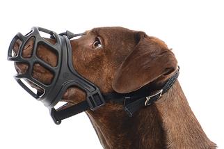 Kruuse Muzzle Size 1