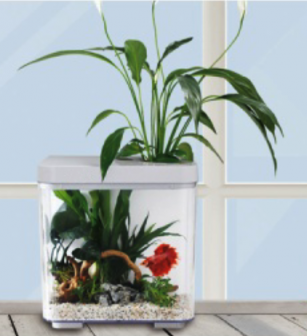 KW Zone Dophin Mini Betta Tank Kit Without Temperature Display 7L