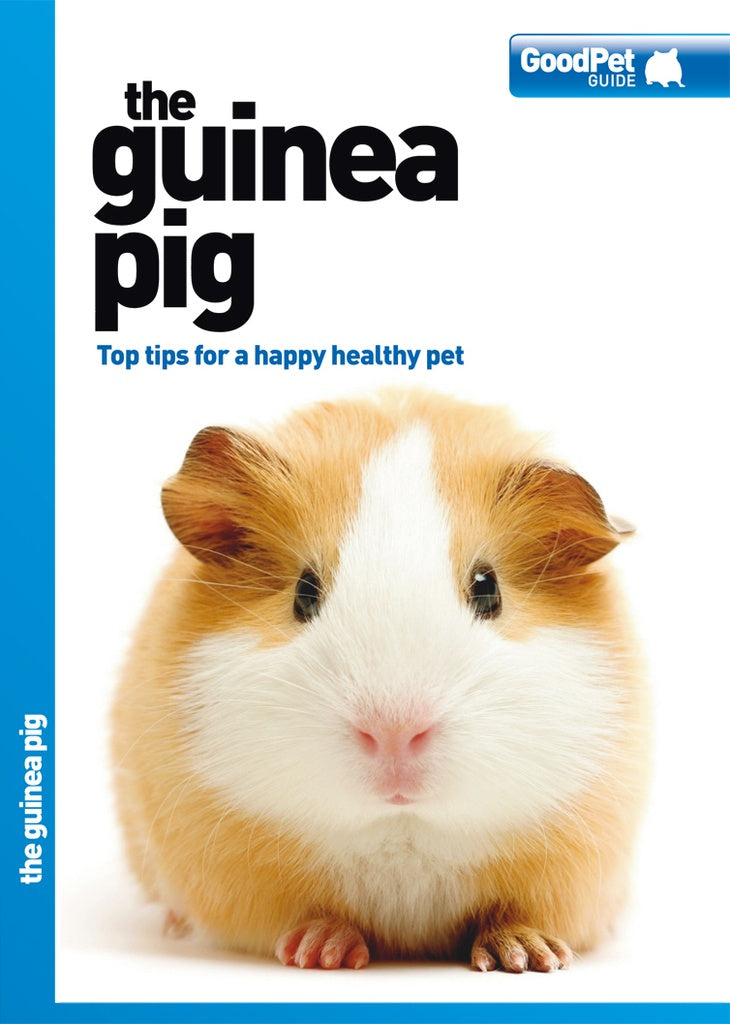 Magnet & Steel The Guinea Pig Good Pet Guide