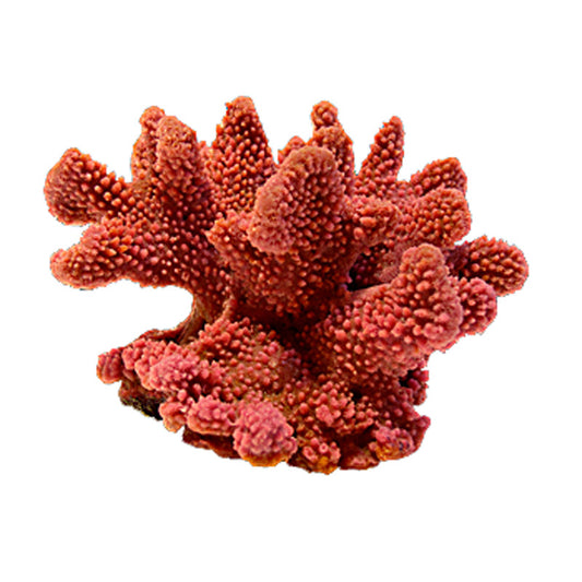 Nature's Image Ni-06B Pocillopora Verrucosa Pink 8x7.5x4.5 Inch. Replica Coral