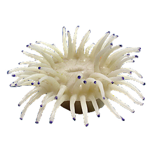 Nature's Image Ni-142A Macrodactyla Doreensis White 4.5x4.25x2.25 Inch. Big Foot Anemone Replica Coral