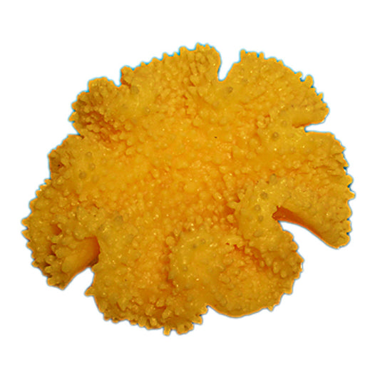 Nature's Image Ni-150A Sarcophyton Elegans Yellow 5x4.75x2.25 Inch. Yellow Toadstool Leather Coral Replica