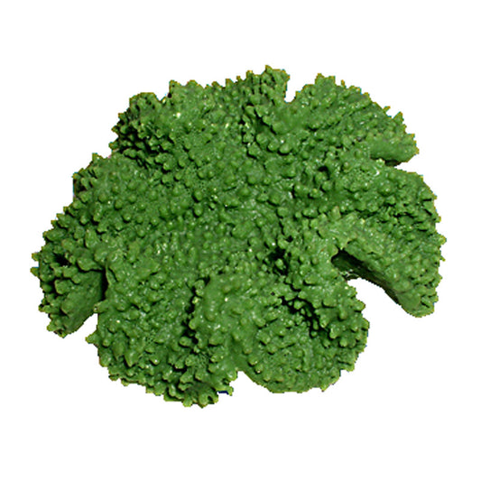 Nature's Image Ni-150B Sarcophyton Sp. Green 5x4.75x2.25 Inch. Smooth Leather Coral Replica Coral