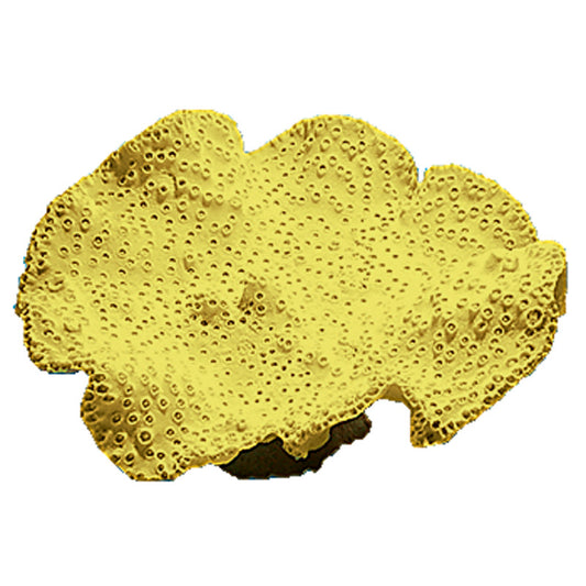 Nature's Image Turbinaria Peltata Replica Coral Yellow 13x12x7.5"