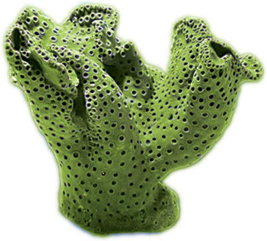Nature's Image Turbinaria Peltata Green Turbinaria Replica Coral 13x10x10"