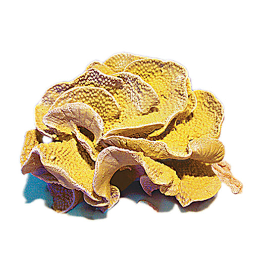 Nature's Image Turbinaria Mesenterina Turbinaria Replica Coral Yellow 9x8x5.5"