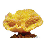نسخة طبق الأصل من كأس المرجان Turbinaria Peltata من Nature's Image باللون الأصفر 5x4x3"