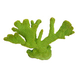 صورة طبيعية لـ Ni-63A Pocillopora Eydouxi Green مقاس 8x13x9 بوصات. نسخة طبق الأصل من المرجان