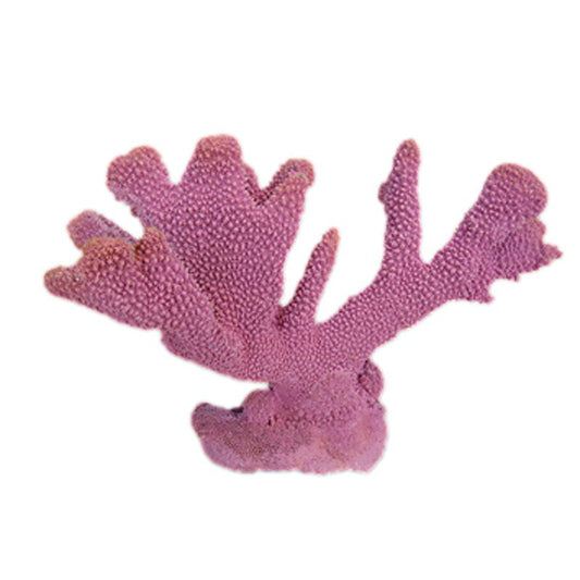 Nature's Image Ni-63B Pocillopora Eydouxi Purple 8x13x9 Inch. Pocillopora Eydouxi Replica Coral