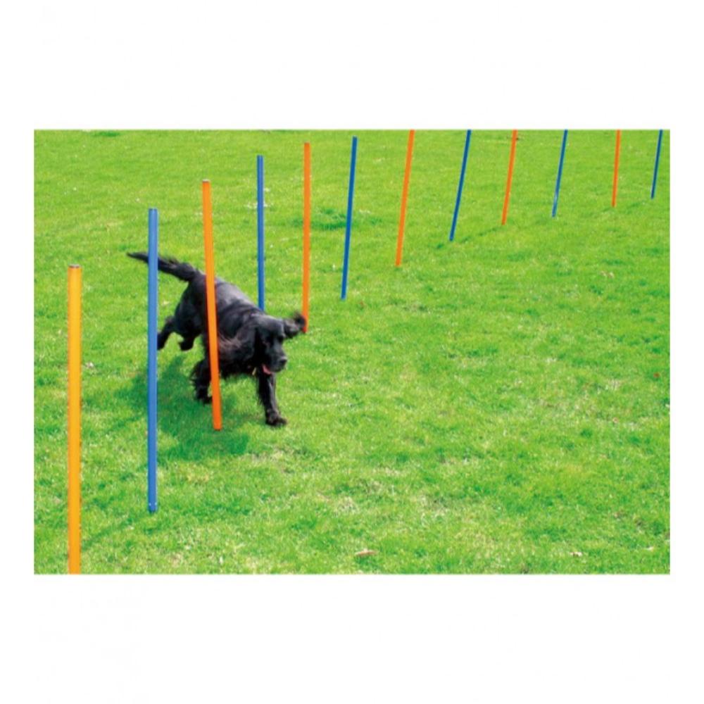 Pawpals Dog Training Poles