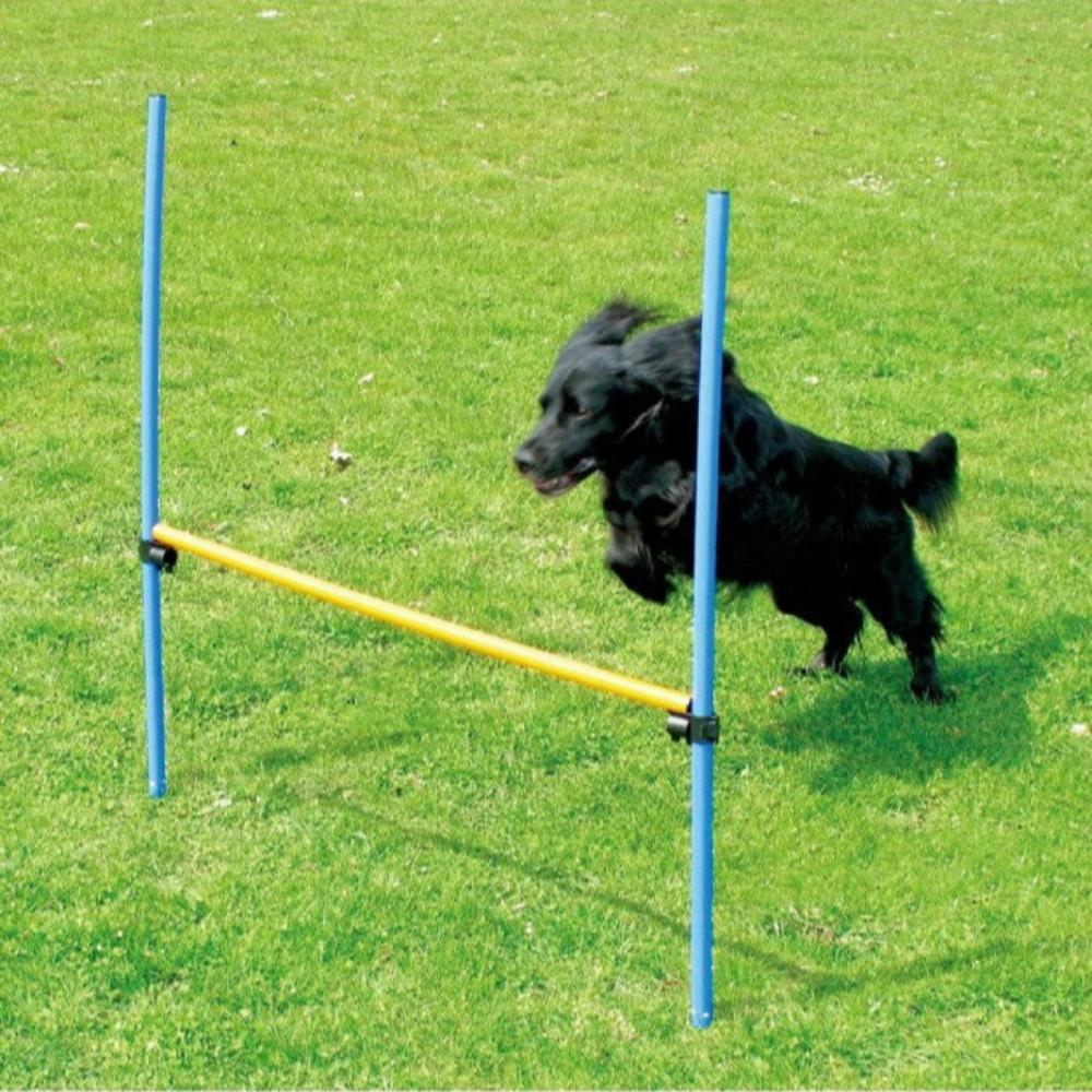 Pawpals Agility Dog Training Hurdle