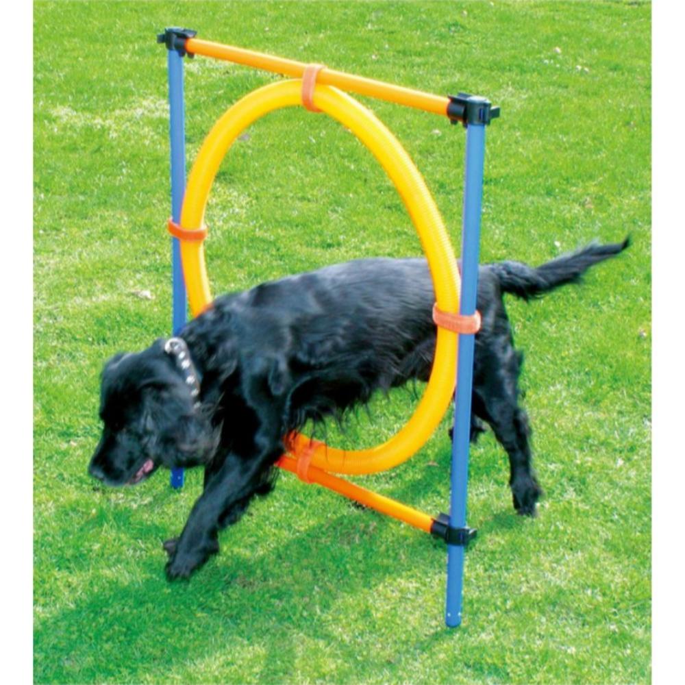 Pawpals Aglt Dog Training Ring