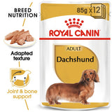 Royal Canin BHN Breed Health Nutrition Dachshund Adult Wet Dog Food 12x85gm