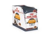 Royal Canin FCN Feline Care Nutrition Hair & Skin Gravy Intense Beauty Wet Cat Food 12x85gm