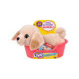 Llp Mrr S2 Puppy Mini-Buddy