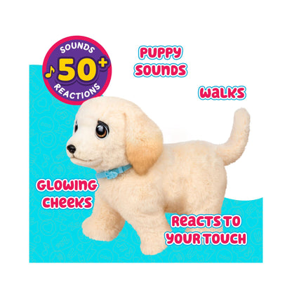 Little live pets ouchies deluxe single pk cooper