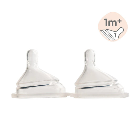 Hegen Teat Slow Flow (2-pack)