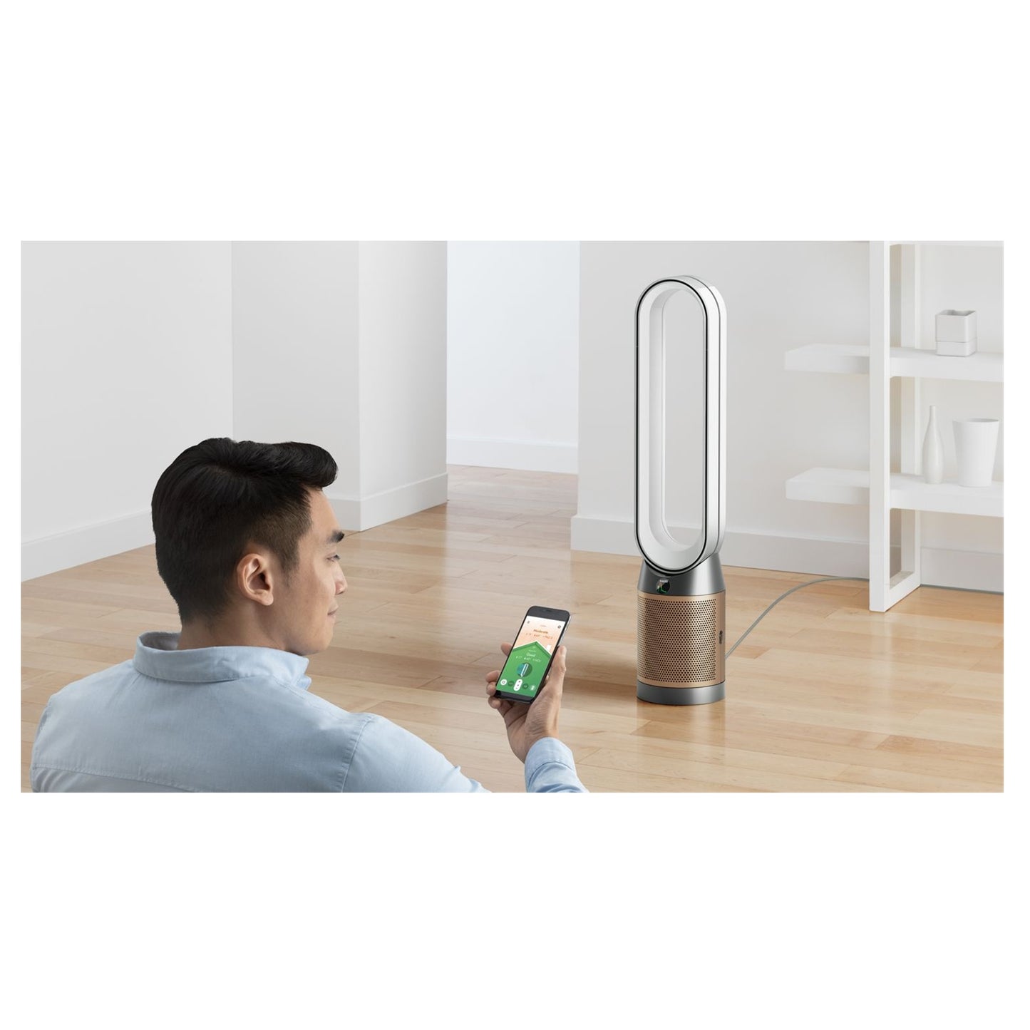 Dyson Purifier Cool PC2 De-NOx